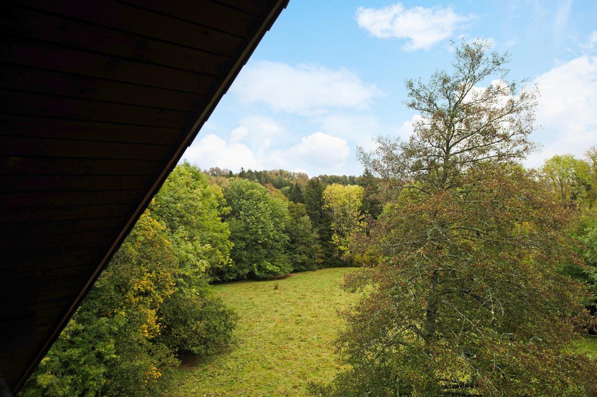 Landhaus Am Schmiedebach Wittenschwand Екстер'єр фото