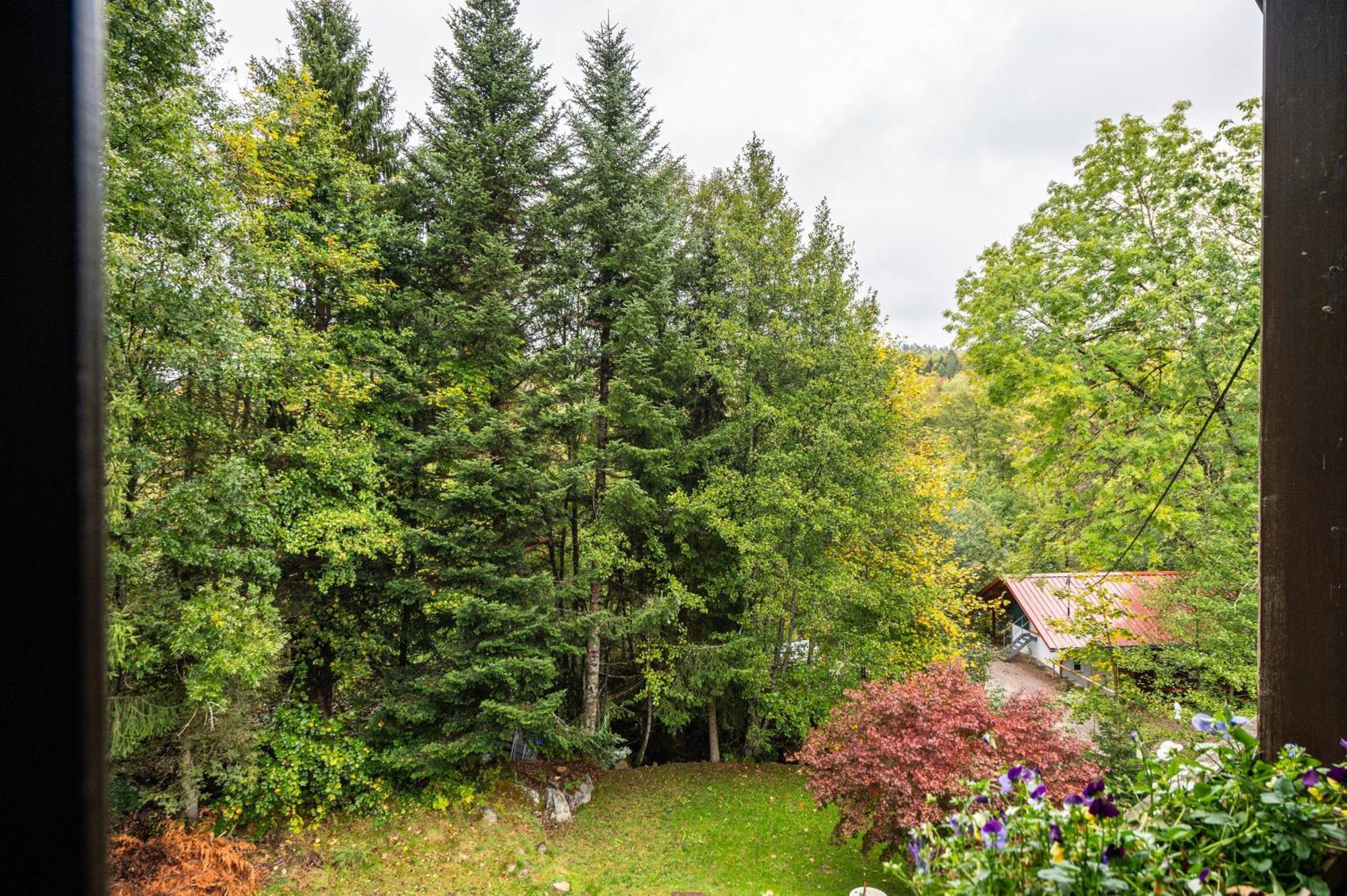 Landhaus Am Schmiedebach Wittenschwand Екстер'єр фото