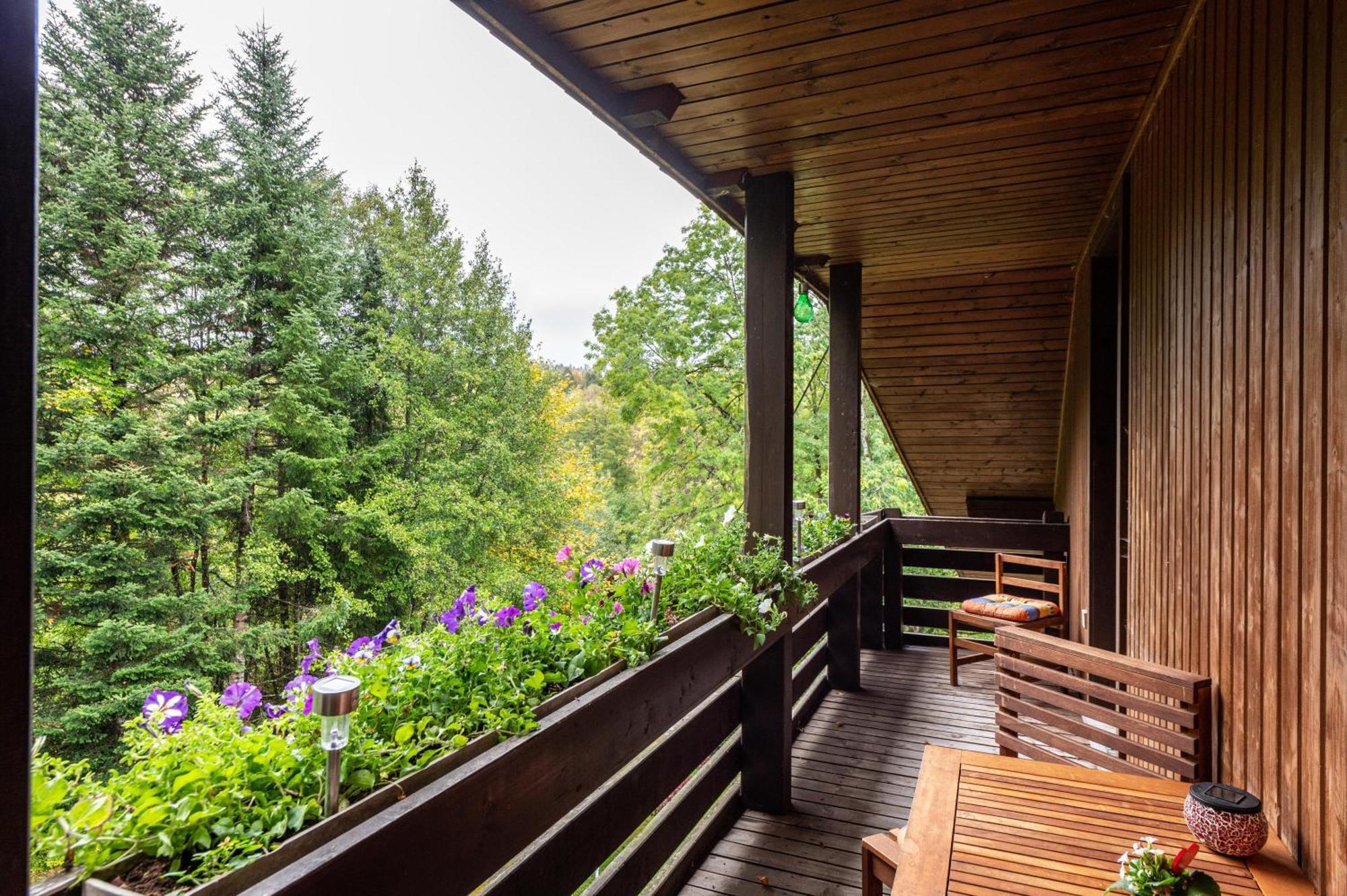 Landhaus Am Schmiedebach Wittenschwand Екстер'єр фото