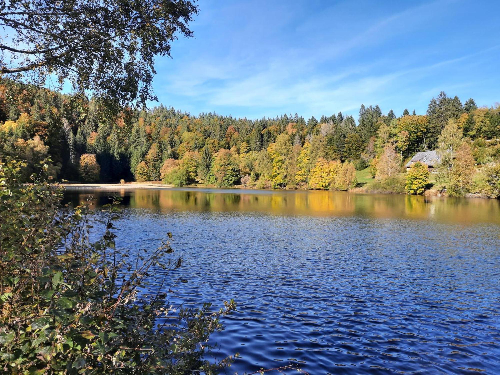 Landhaus Am Schmiedebach Wittenschwand Екстер'єр фото